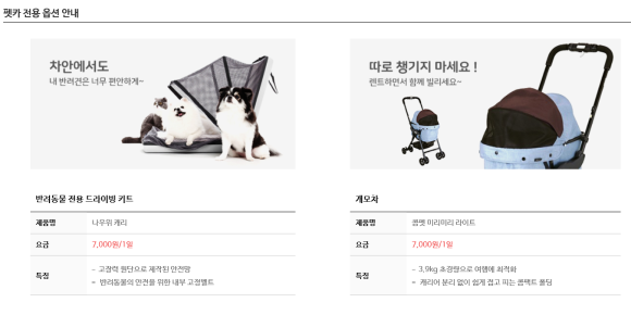 케이지렌터카 이미지