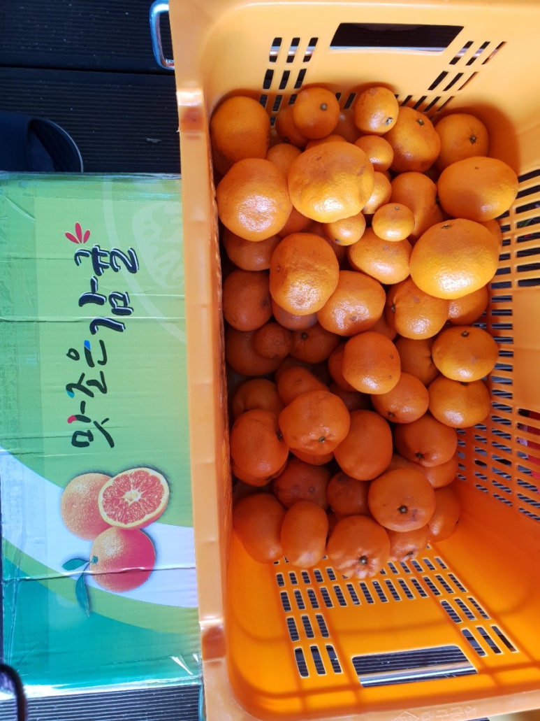 애원민박 이미지