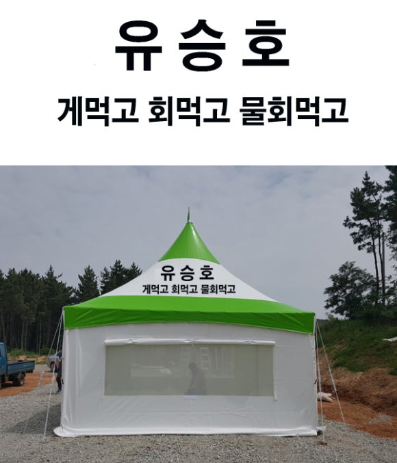 놀스타 이미지