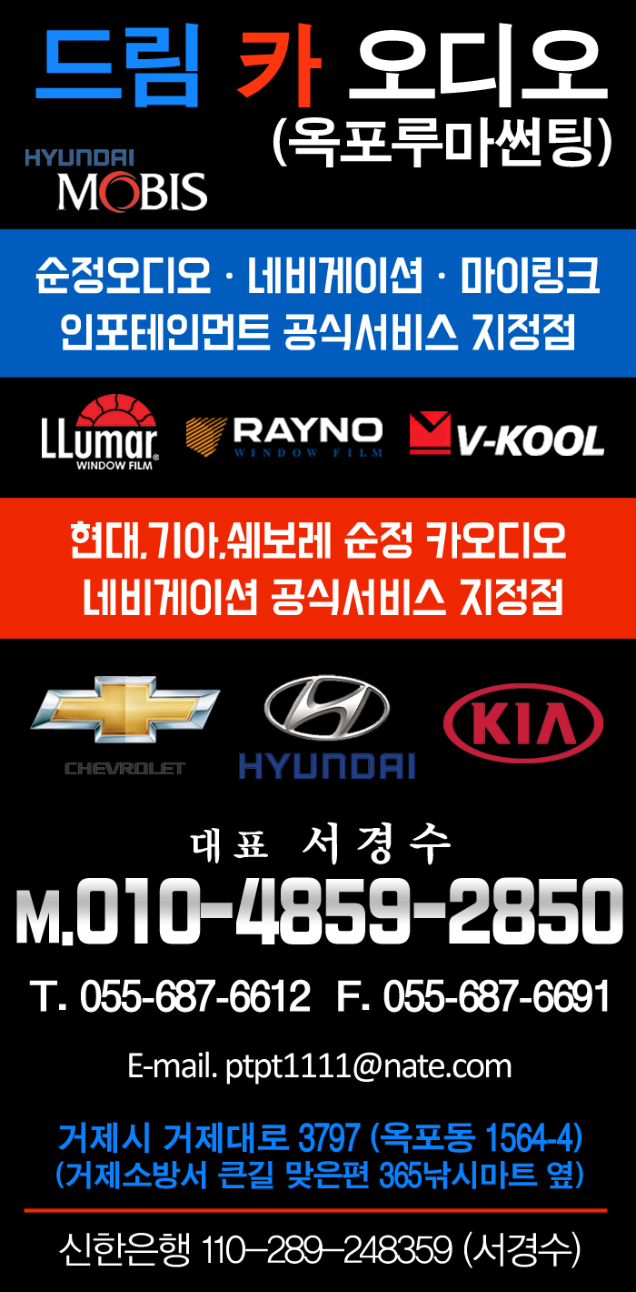 드림카오디오네비매립 이미지