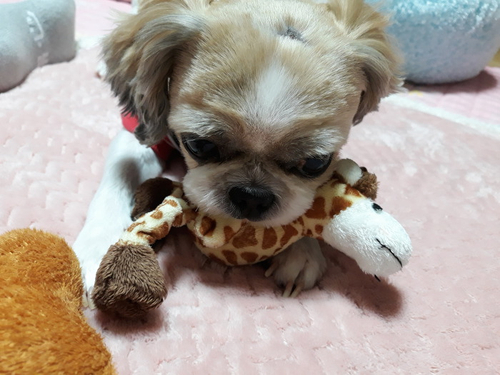 가람케어 이미지