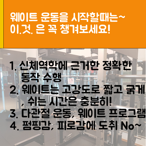 성지스포렉스 이미지