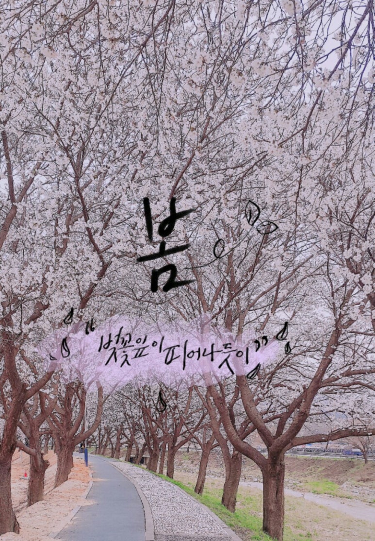 한식촌 이미지