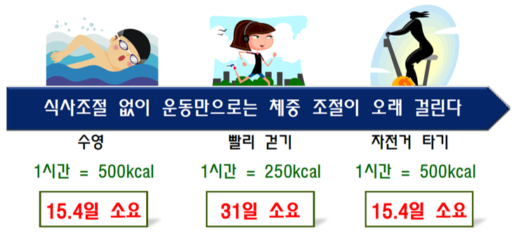 신나는점핑다이어트 이미지