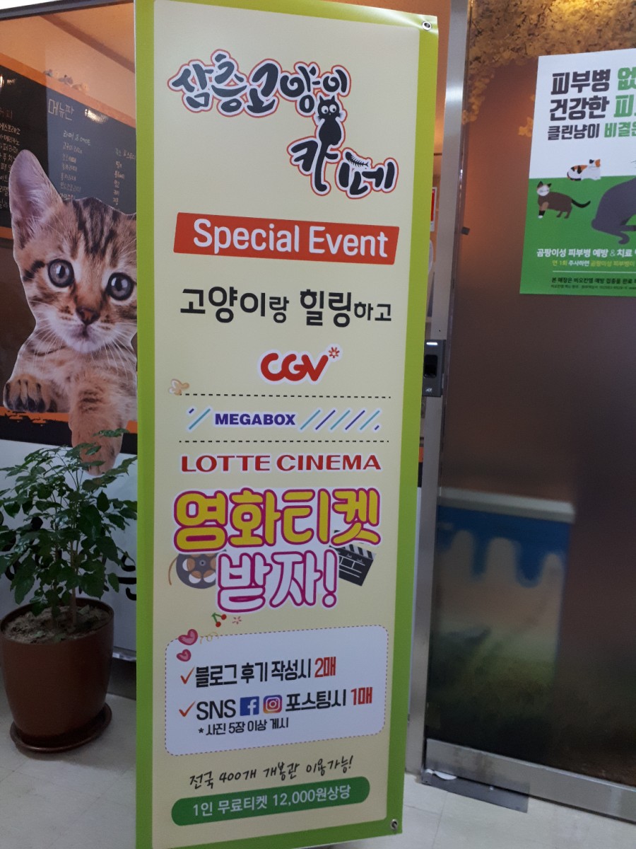 삼층고양이 이미지