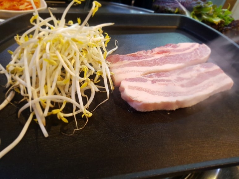 꿀통돼지 이미지