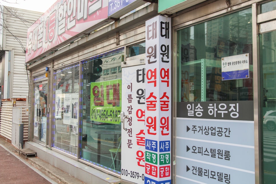 엘리트여행사주 이미지
