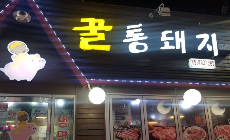 꿀통돼지 이미지