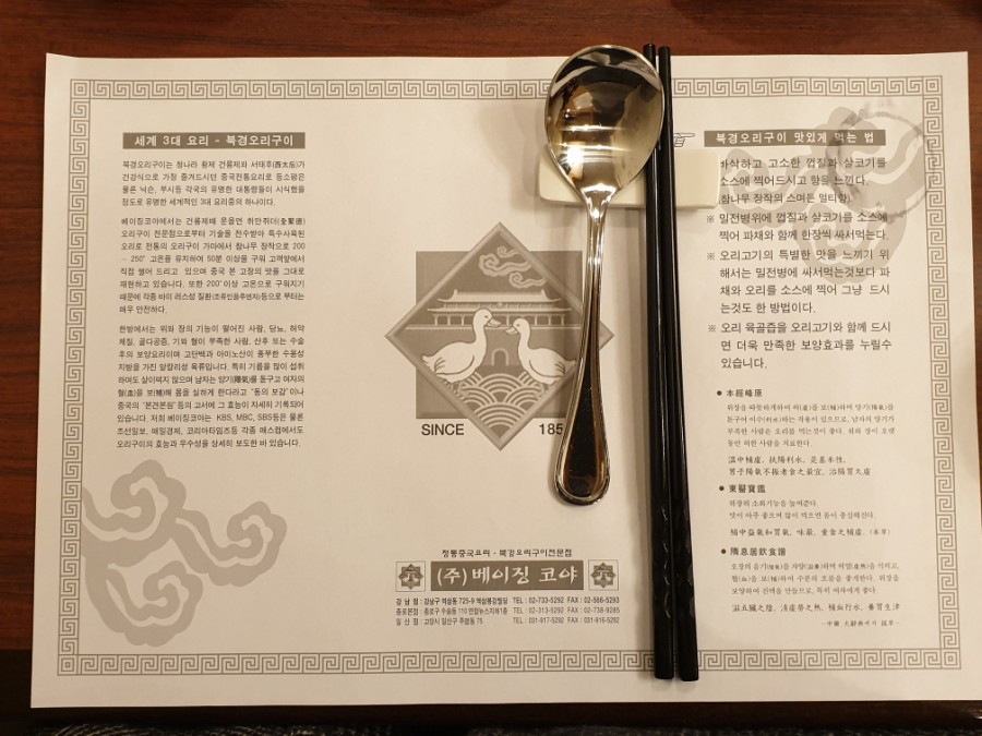 베이징코야주 이미지