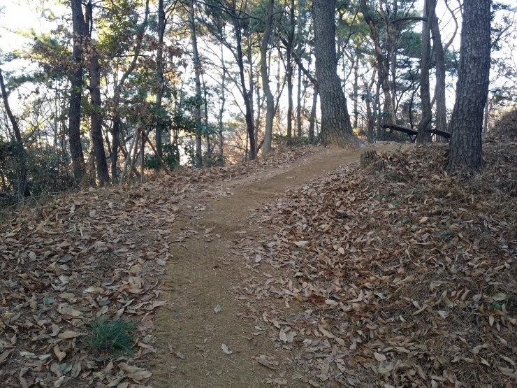 마동근린공원산책로 이미지