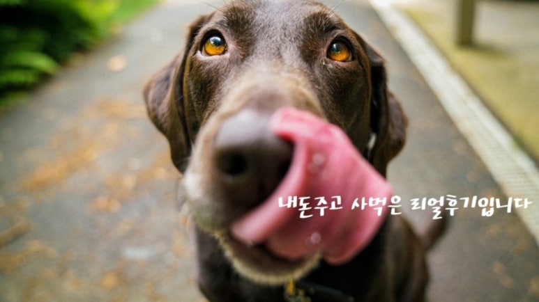 포미김밥 이미지