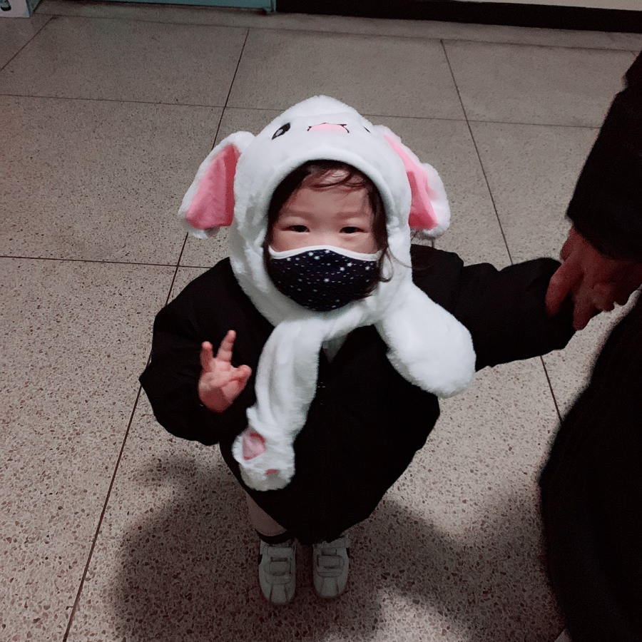 예블리콩 이미지
