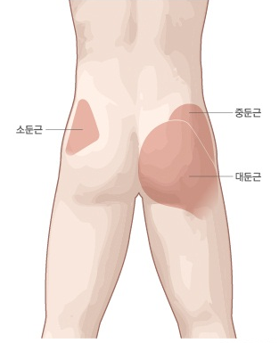 짐나인 이미지