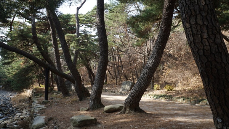 혼림 이미지