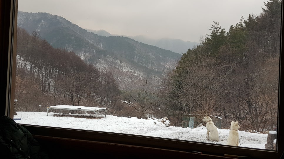 황간식자재마트 이미지
