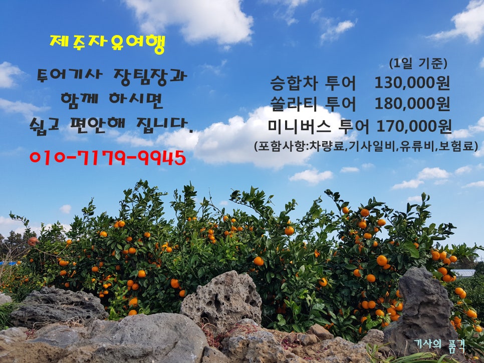 제주미소투어 이미지