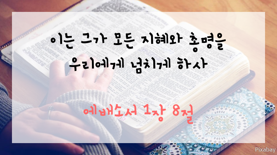 청년떡볶이강릉 이미지