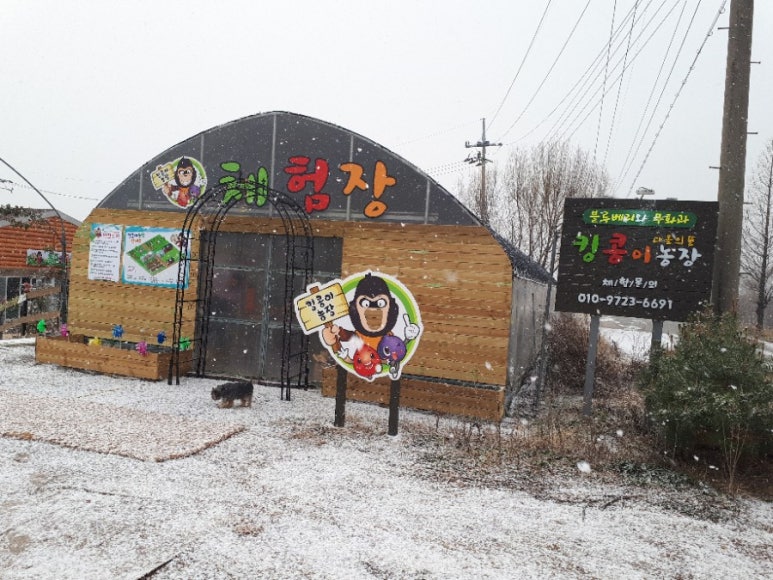 킹콩이농장 이미지
