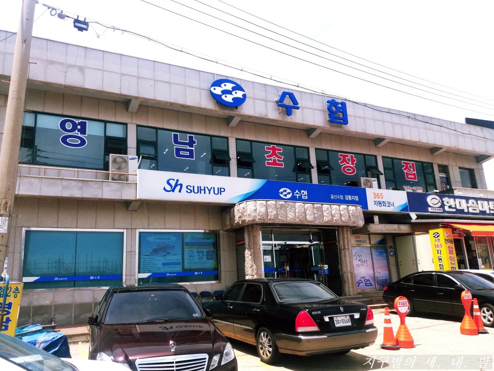 영남초장집 이미지