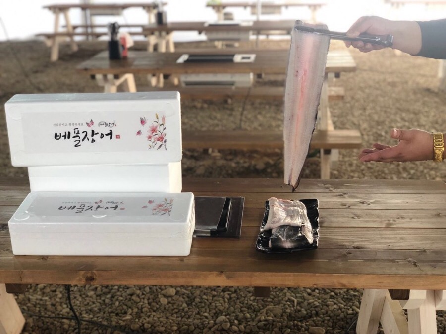 베풀장어 이미지