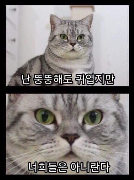 해뜰날횟집 이미지