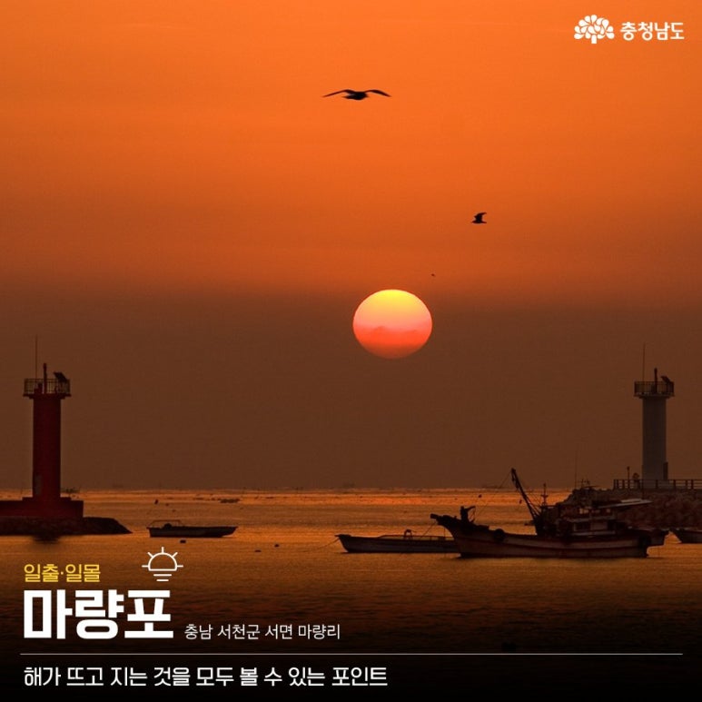 물속의달 이미지