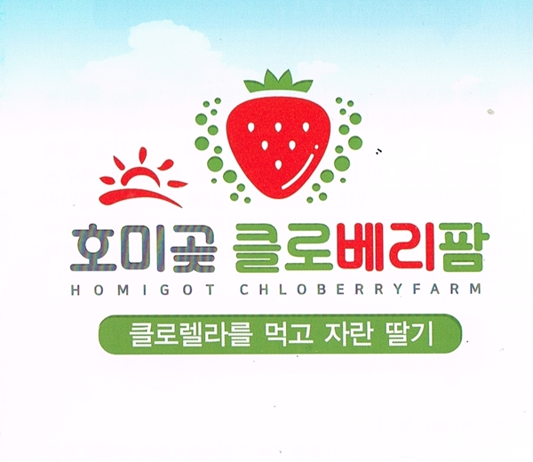 아뜰리에아울 이미지