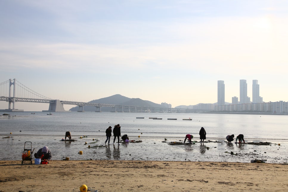 광안리대교밀면 이미지
