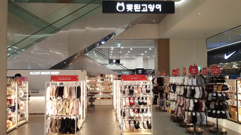 못된고양이 이미지