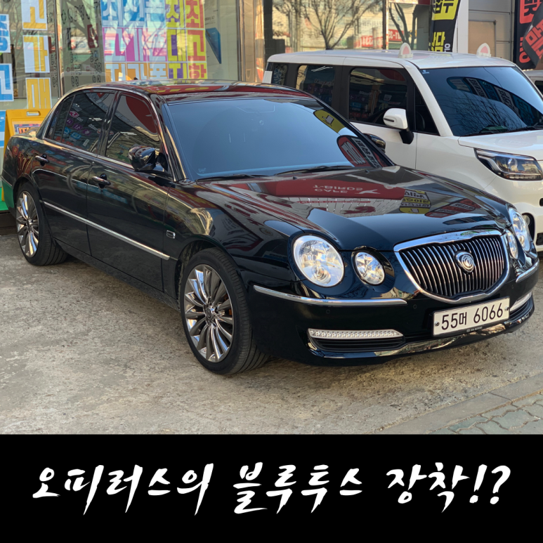 뉴앤트 이미지