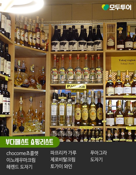 즐거운여행사 이미지