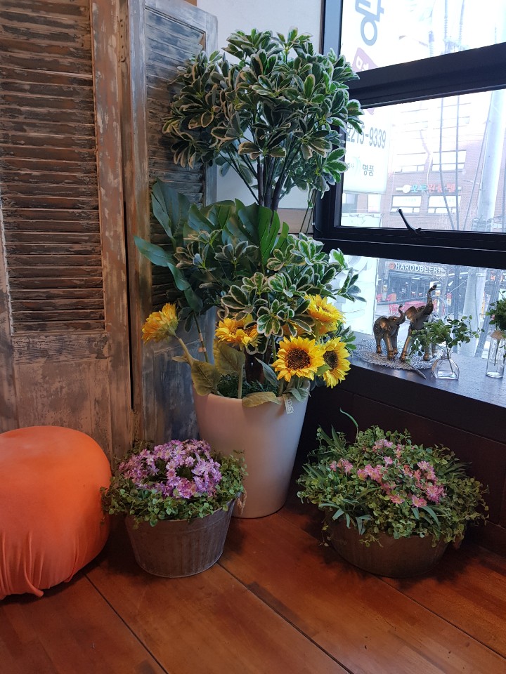 궁힐링센터 이미지