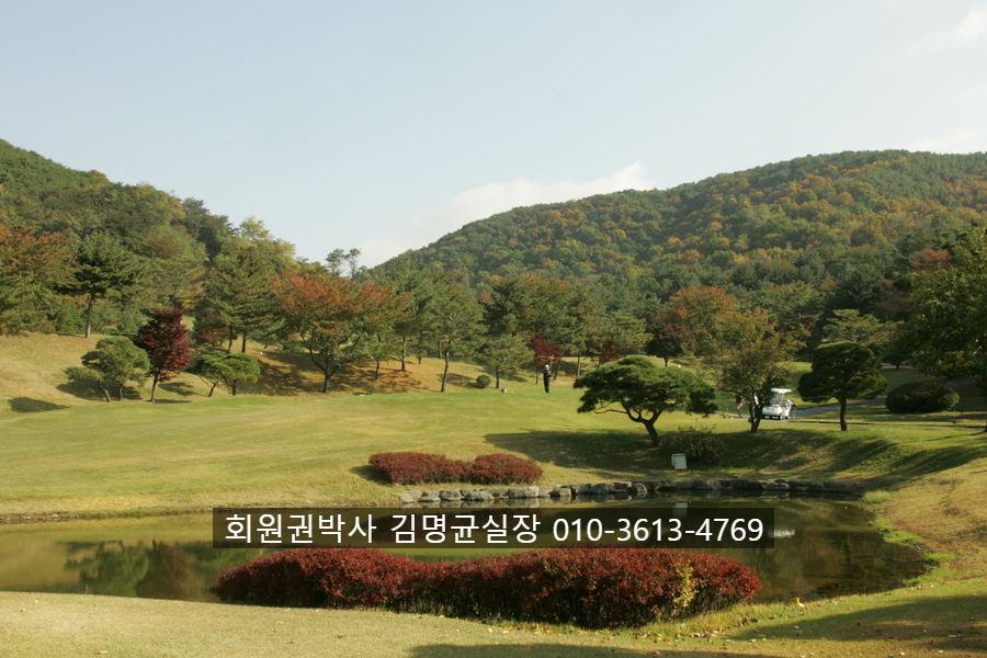 동포제일 이미지