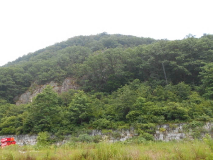[국도37] 금산군 요광리 이미지