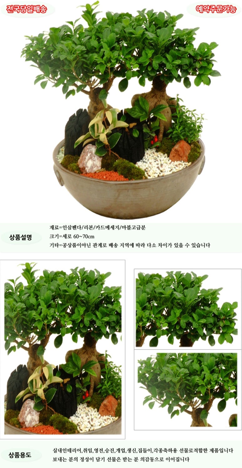 가나플라워 이미지