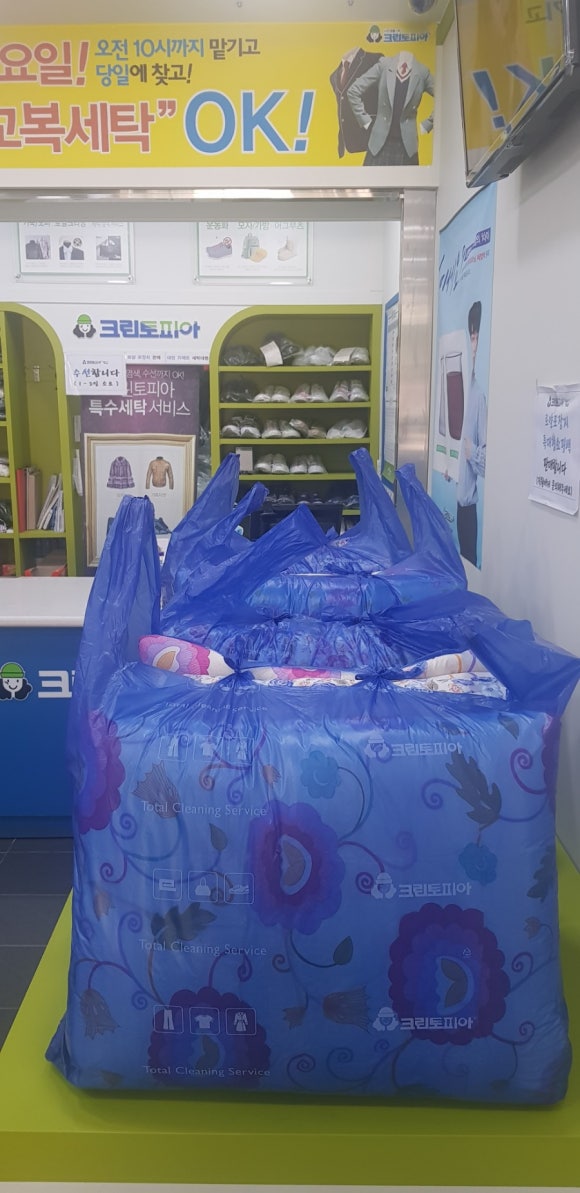 일동세탁 이미지