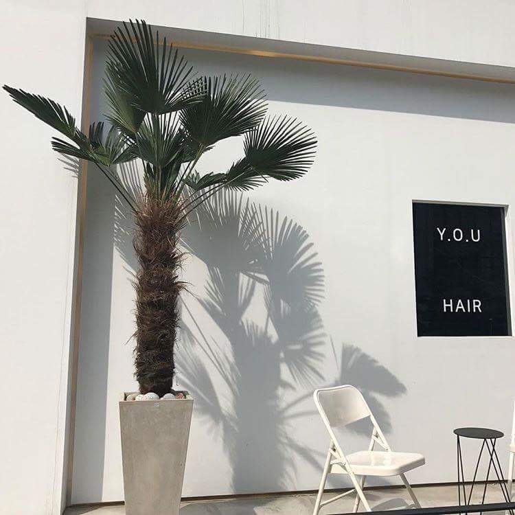 스파헤어 이미지