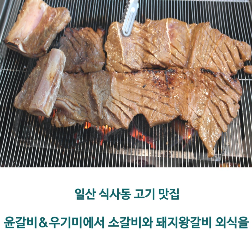 우기미 이미지