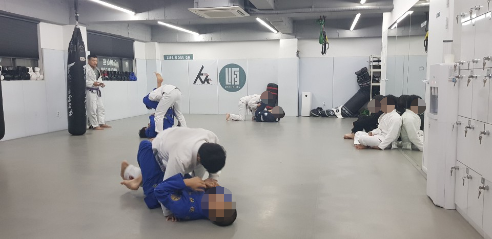 라이프짐MMA 이미지