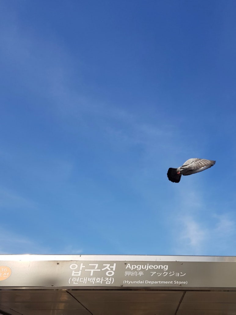 호천당 이미지