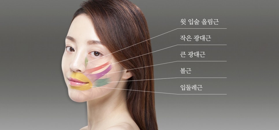 파오 이미지