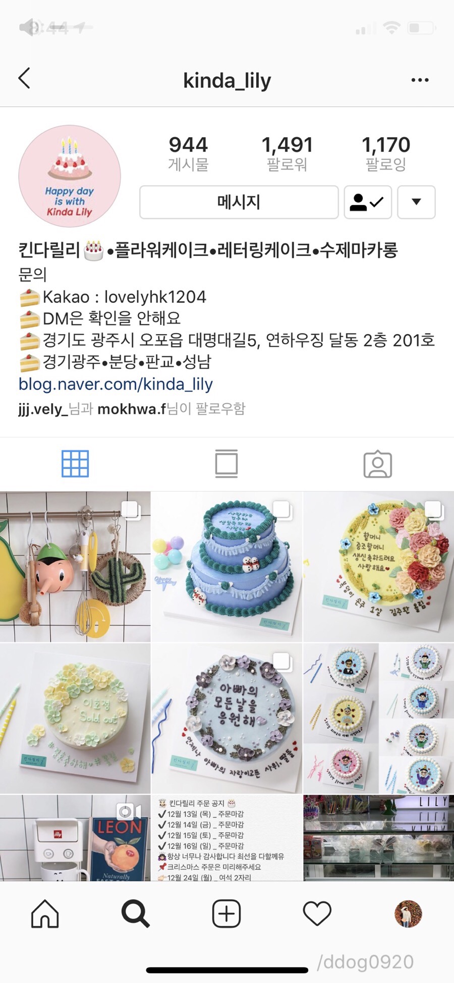 킨다릴리 이미지