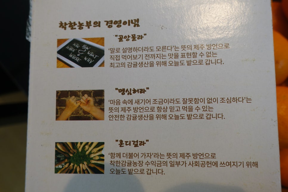 혼디가자 이미지