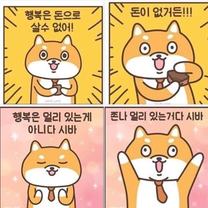(주)프레쉬 이미지