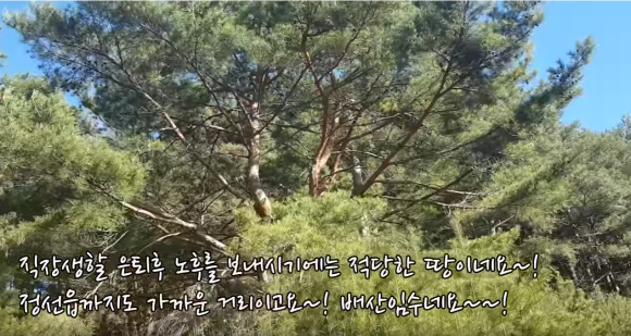 한국가스공사정선연수원 이미지