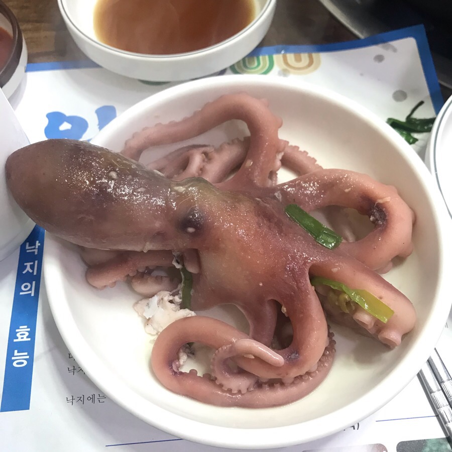 해왕낙지 이미지