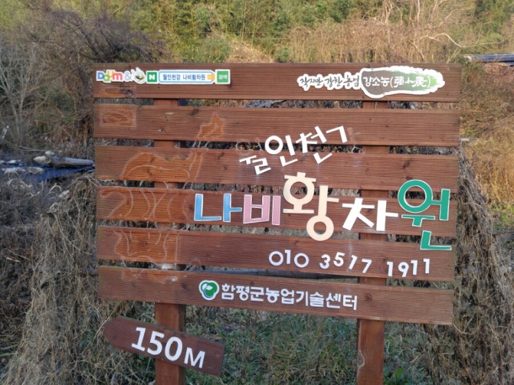 월인천강나비황차원 이미지