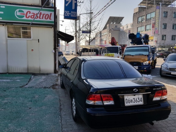 성대카 이미지