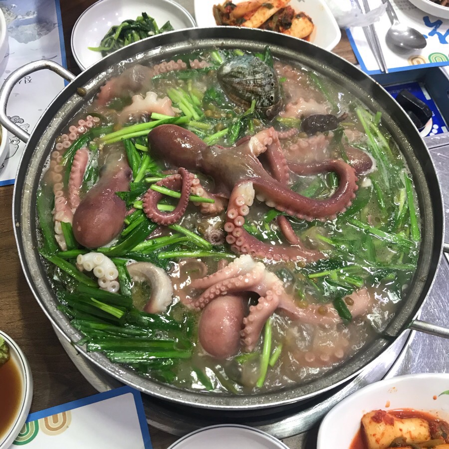 해왕낙지 이미지
