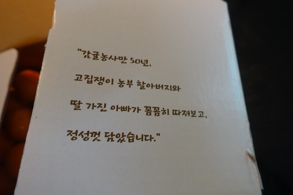 혼디가자 이미지